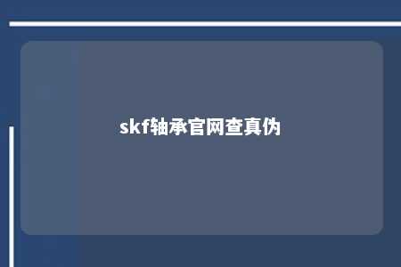 skf轴承官网查真伪 