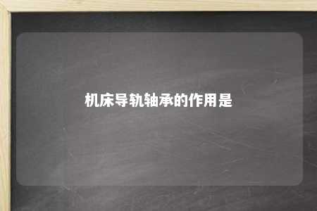 机床导轨轴承的作用是 