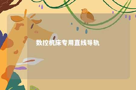 数控机床专用直线导轨 
